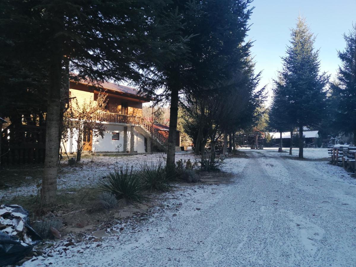 Pensiunea Perla Maramuresului Borsa  Exterior photo
