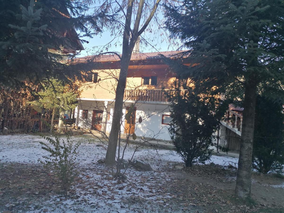 Pensiunea Perla Maramuresului Borsa  Exterior photo