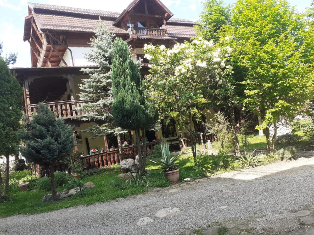 Pensiunea Perla Maramuresului Borsa  Exterior photo