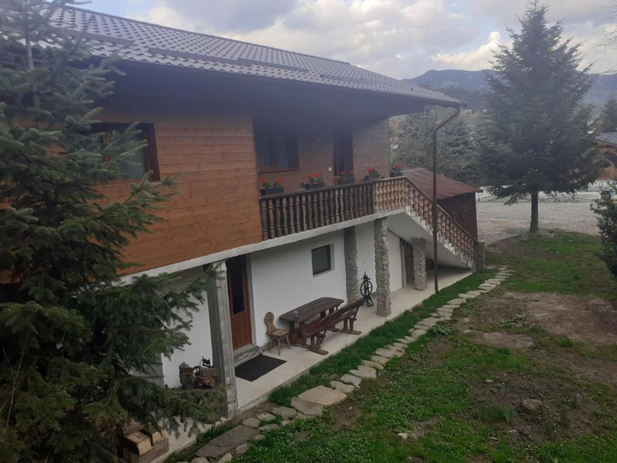Pensiunea Perla Maramuresului Borsa  Exterior photo