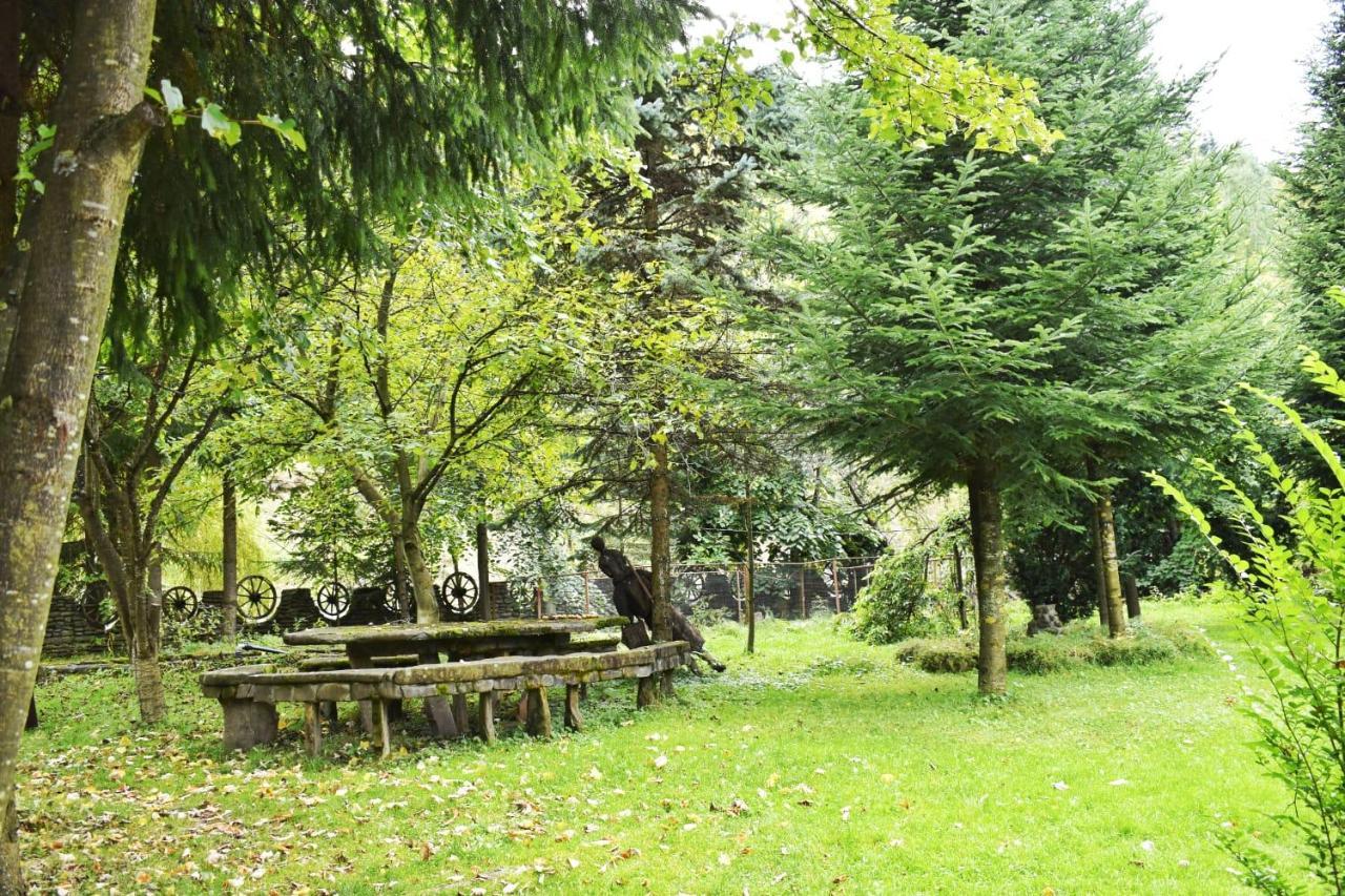 Pensiunea Perla Maramuresului Borsa  Exterior photo