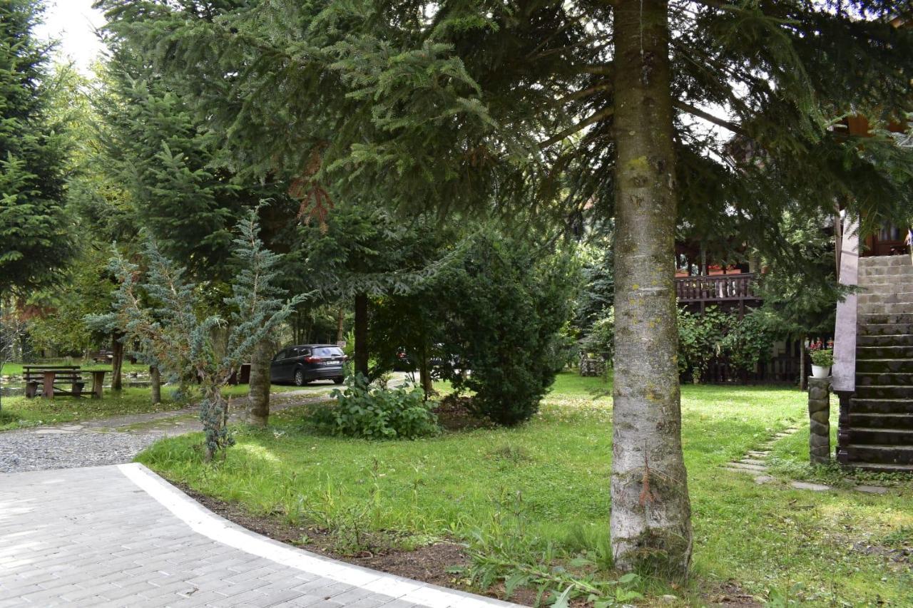 Pensiunea Perla Maramuresului Borsa  Exterior photo