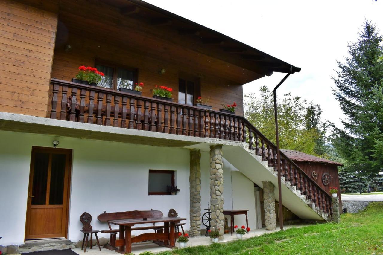 Pensiunea Perla Maramuresului Borsa  Exterior photo