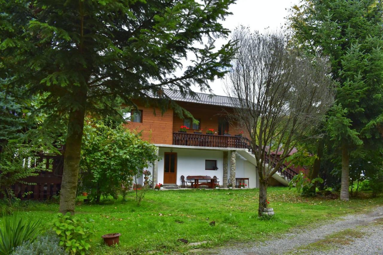 Pensiunea Perla Maramuresului Borsa  Exterior photo